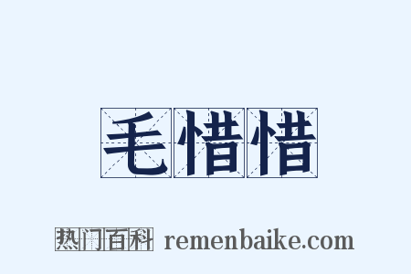 毛惜惜是什么意思的图片